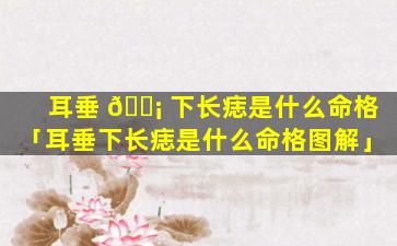 耳垂 🐡 下长痣是什么命格「耳垂下长痣是什么命格图解」